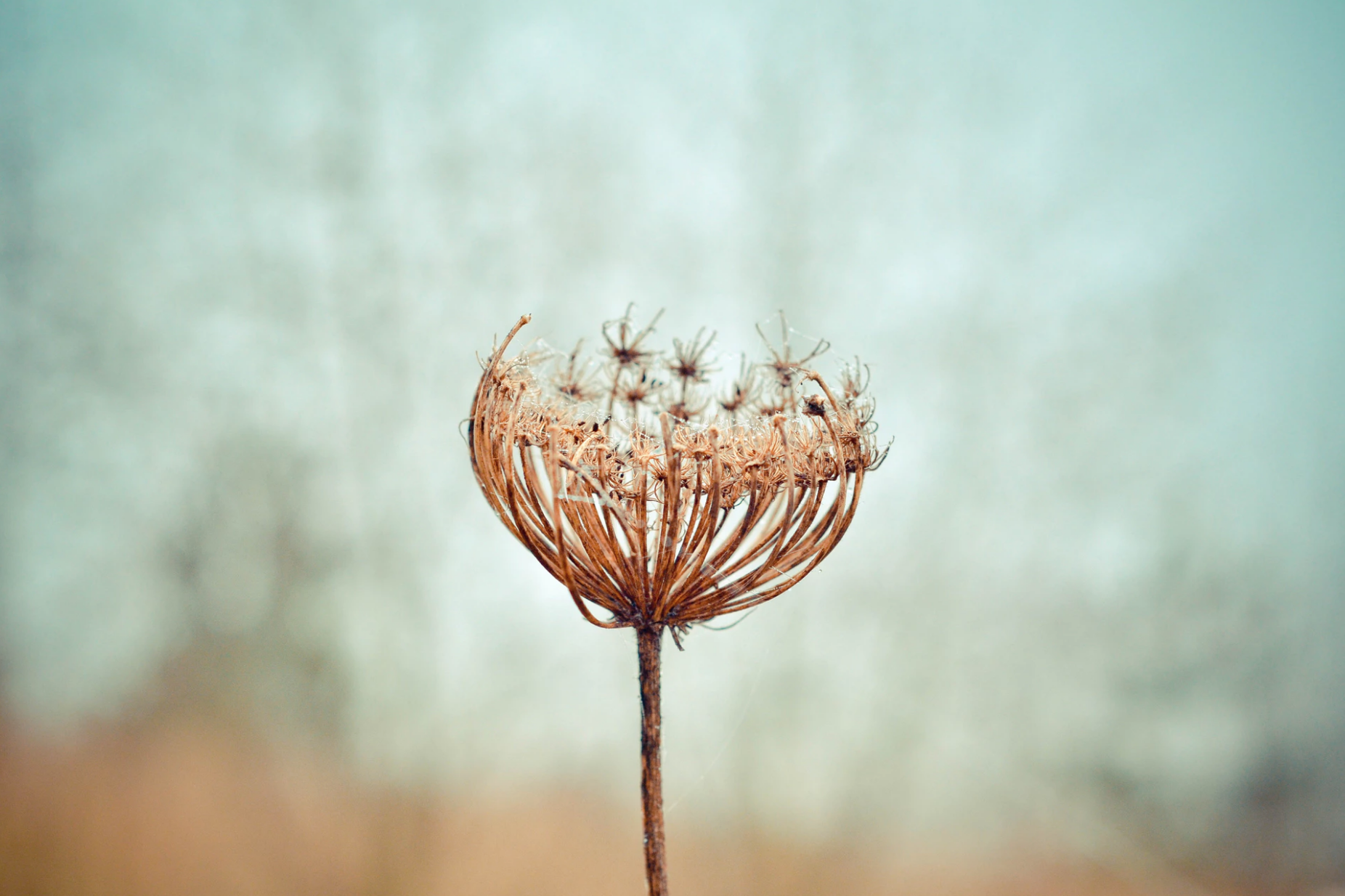 SUBSCRIBE to the acumass newsletter